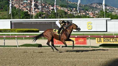 Aquí lo vemos en una de las carreras en La Rinconada.