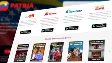 Bono sistema patria