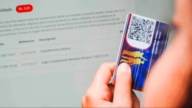sistema patria