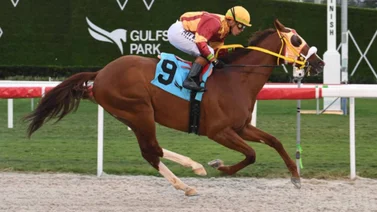 Ortiz Jr. en carrera en la arena de Gulfstream Park.