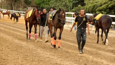 Hay un nuevo retiro en una de las carreras más pareja del 5y6 nacional en La Rinconada