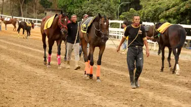 Hay un nuevo retiro en una de las carreras más pareja del 5y6 nacional en La Rinconada Hay un nuevo retiro en una de las carreras más pareja del 5y6 nacional en La Rinconada
