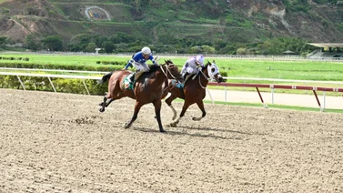 Ojo con este ejemplar que da por video y de ganar puede abonar un excelente dividendo en La Rinconada
