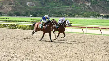 Ojo con este ejemplar que da por video y de ganar puede abonar un excelente dividendo en La Rinconada Ojo con este ejemplar que da por video y de ganar puede abonar un excelente dividendo en La Rinconada