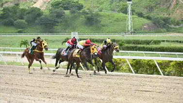 Conoce a esta hora los caballos con más fuerza en el hipódromo La Rinconada Conoce a esta hora los caballos con más fuerza en el hipódromo La Rinconada