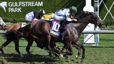 Forever After All se lleva la Prevoyante Stakes (G3) en Gulfstream Park