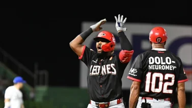 LIDOM tomó acciones tras incidente en Juego 4 de la Serie Final (+Detalles)