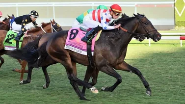 Tyler Gafallione conquista la Pegasus World Cup Turf Invitacional Stakes (GI)