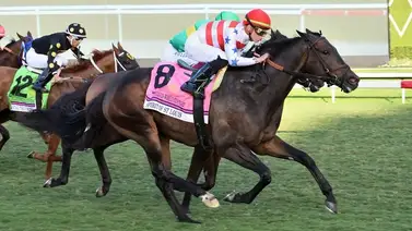 Tyler Gafallione conquista la Pegasus World Cup Turf Invitacional Stakes (GI) Tyler Gafallione conquista la Pegasus World Cup Turf Invitacional Stakes (GI)