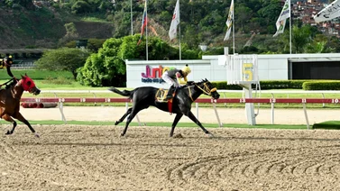 El 5y6 nacional siempre se apuesta y gana en MeridianoBet