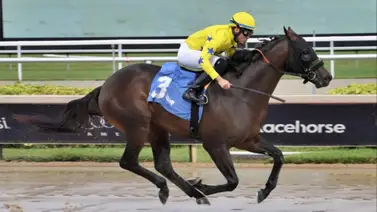 Jockey venezolano Cipriano Gil. Jockey venezolano Cipriano Gil.