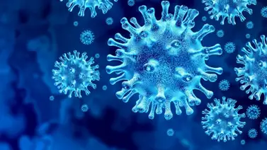 La CIA considera "más probable" la fuga del virus COVID-19 proveniente de un laboratorio Chino La CIA considera "más probable" la fuga del virus COVID-19 proveniente de un laboratorio Chino