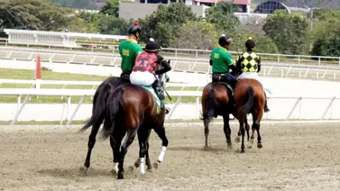 Sanciones impuestas a tres Jinetes tras la celebración de la reunión 2 Sanciones impuestas a tres Jinetes tras la celebración de la reunión 2