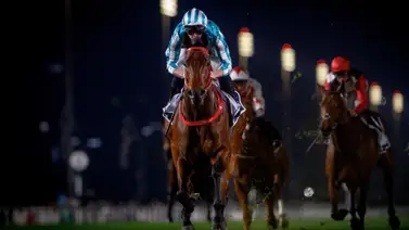 Romantic Warrior está de vuelta con récord de pista Romantic Warrior está de vuelta con récord de pista