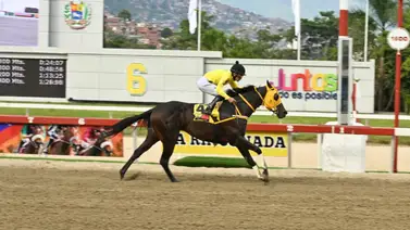 Entrenador retorna a la victoria tras un largo periodo sin ganar en La Rinconada Entrenador retorna a la victoria tras un largo periodo sin ganar en La Rinconada