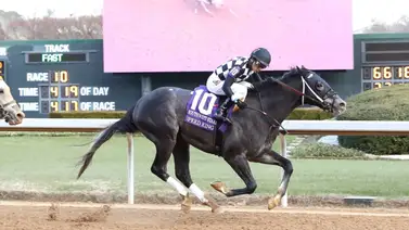 Speed King tomó desquite y se quedó con 20 puntos para Las Rosas de mayo Speed King tomó desquite y se quedó con 20 puntos para Las Rosas de mayo