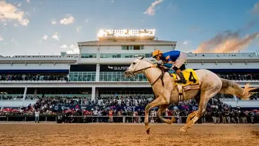 Mira el económico precio que costó White Abarrio que ha ganado casi 7 millones de dólares Mira el económico precio que costó White Abarrio que ha ganado casi 7 millones de dólares