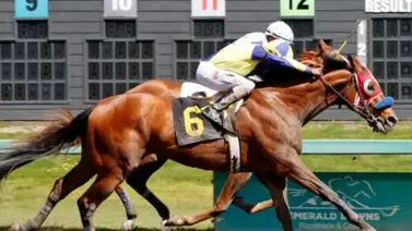 Karlo López fue el más efectivo de la semana y se acerca a las 900 victorias Karlo López fue el más efectivo de la semana y se acerca a las 900 victorias