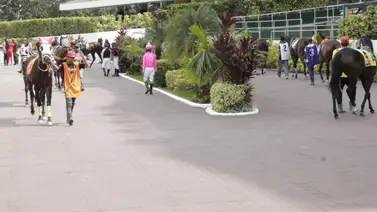 Diez carreras marcan el primer domingo de febrero en la reunión 3 de La Rinconada Diez carreras marcan el primer domingo de febrero en la reunión 3 de La Rinconada