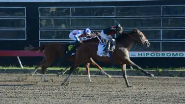 Colosal se queda con el Clásico Día de Duarte Colosal se queda con el Clásico Día de Duarte