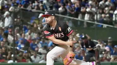 LIDOM: Así fue la actuación de los Venezolanos en la final de la pelota dominicana LIDOM: Así fue la actuación de los Venezolanos en la final de la pelota dominicana