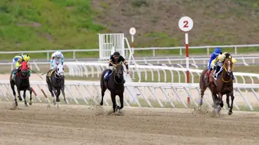 Conozca qué le pasó a Bella del Nilo en el Clásico Andrés Bello GII Conozca qué le pasó a Bella del Nilo en el Clásico Andrés Bello GII