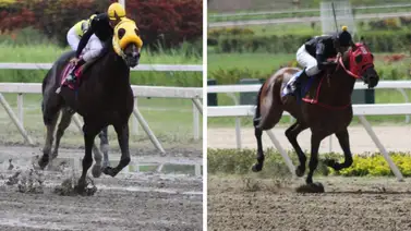 Debuta medio hermano de los ejemplares Jorge Zeta y Tato Zeta en La Rinconada Debuta medio hermano de los ejemplares Jorge Zeta y Tato Zeta en La Rinconada