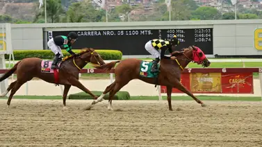 Conoce el regreso en La Rinconada de un ejemplar considerado fijo tras 231 días fuera de competencia Conoce el regreso en La Rinconada de un ejemplar considerado fijo tras 231 días fuera de competencia