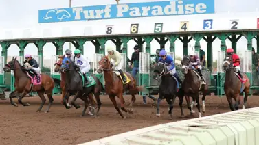 Entrenador venezolano campeón en Canadá gana su primera carrera en Estados Unidos Entrenador venezolano campeón en Canadá gana su primera carrera en Estados Unidos
