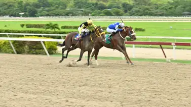 Yegua ganadora en La Rinconada enfrenta a una de las lógicas en el ciclo de las no válidas Yegua ganadora en La Rinconada enfrenta a una de las lógicas en el ciclo de las no válidas