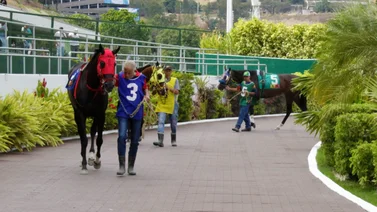 La Rinconada se prepara para ver debutar un potro nieto de un legendario ganador del Kentucky Derby