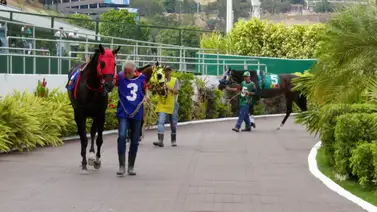 La Rinconada se prepara para ver debutar un potro nieto de un legendario ganador del Kentucky Derby La Rinconada se prepara para ver debutar un potro nieto de un legendario ganador del Kentucky Derby