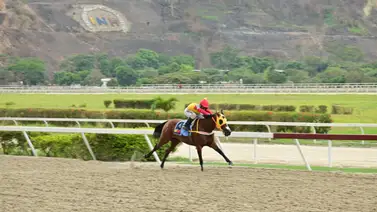 No subestimen a esta yegua en su reaparición porque promete sorprender gracias a sus ejercicios destacados No subestimen a esta yegua en su reaparición porque promete sorprender gracias a sus ejercicios destacados