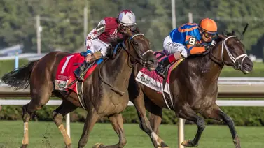 Entérate de los planes del Caballo del año 2024 Entérate de los planes del Caballo del año 2024