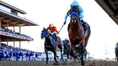 Reaparece el ganador del Premio Eclipse de 2 años corre este sábado Reaparece el ganador del Premio Eclipse de 2 años corre este sábado