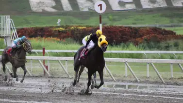 Esto dice Riccardo D’Angelo del medio hermano de Jorge Zeta y Tato Zeta que debuta este domingo en La Rinconada (+Video) Esto dice Riccardo D’Angelo del medio hermano de Jorge Zeta y Tato Zeta que debuta este domingo en La Rinconada (+Video)