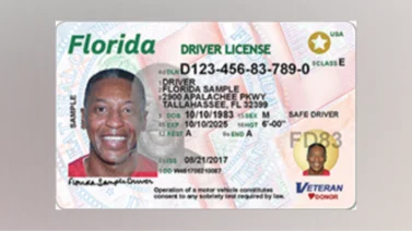 Real ID en Florida: Todo lo que necesita saber para tramitarla 