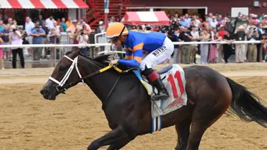 Gulfstream Park se viste de gala este fin de semana con cinco stakes Gulfstream Park se viste de gala este fin de semana con cinco stakes