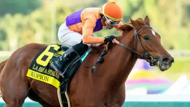 Kopion regresa para dar la pelea este fin de semana en jornada de cuatro stakes Kopion regresa para dar la pelea este fin de semana en jornada de cuatro stakes