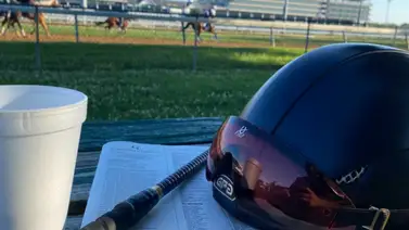 Ojo al dato con el Best Best y los Picks para la jornada en Gulfstream Park 29-01-2025 Ojo al dato con el Best Best y los Picks para la jornada en Gulfstream Park 29-01-2025