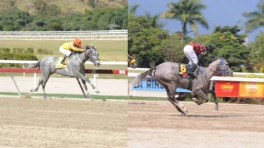 Estos dos ejemplares que tienen casi dos años sin ganar son favoritos en La Rinconada
