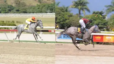 Estos dos ejemplares que tienen casi dos años sin ganar son favoritos en La Rinconada Estos dos ejemplares que tienen casi dos años sin ganar son favoritos en La Rinconada