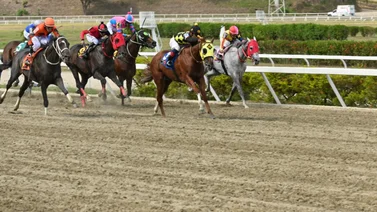 Jockey que tiene casi una década sin montar vuelve a La Rinconada