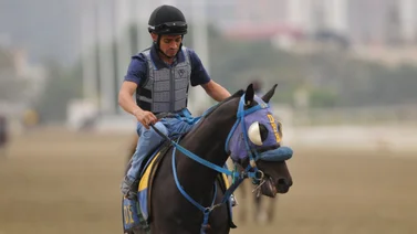 Descubre el potencial de los caballos de Larry Mejías en la tercera reunión de carrera de La Rinconada (+Video)