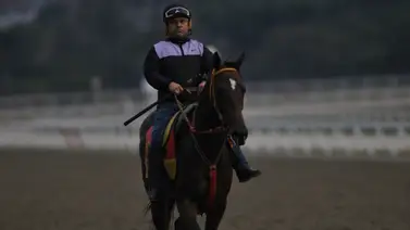 Álvaro Finol trae dos lances fuertes para el 5y6 dominical en la tercera reunión (+Video) Álvaro Finol trae dos lances fuertes para el 5y6 dominical en la tercera reunión (+Video)
