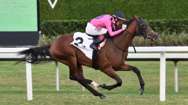 Emisael Jaramillo busca sorprender en el Kitten’s Joy el sábado en Gulfstream Park Emisael Jaramillo busca sorprender en el Kitten’s Joy el sábado en Gulfstream Park