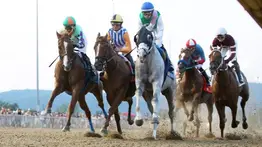 El Ángel de la fusta revienta la taquilla con este batacazo en Parx Racing