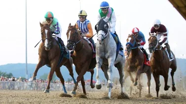 El Ángel de la fusta revienta la taquilla con este batacazo en Parx Racing