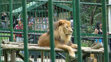 Parque Zoológico Chorros de Milla en Mérida