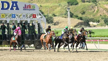 Ejemplares saliendo a la pista de La Rinconada.